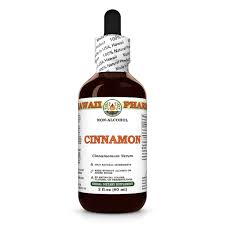 Image result for Cinnamomum verum