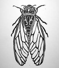 Black And White Insect With Wings 