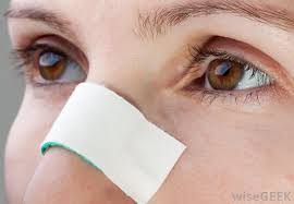 Wax strips can help remove hair on the nose. Hair On Nose How Do I Remove Hair On The Nose Info Bloom