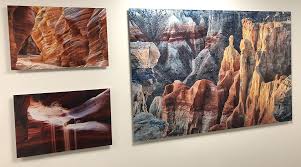 Nature Photography Acrylic Prints By Tom Corey Artisanhd Nature Photography Acrylic Prints Nature Photographs