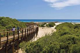 Maybe you would like to learn more about one of these? Elche Un Oasis En La Costa Levantina