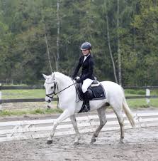 Gårdagens sista omgång i dressyr division III, Lb:1, gick i Torsås där Kbfs  lag vann! 🏆👏🥇Agnes Ahlgren, Stina Seyfried, Hanna Lundqvist, Alva  Petersson & Ronja Nilsson har ridit alla tre omgångar med