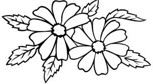 Hasil gambar untuk gambar kolase hewan. 900 Gambar Kolase Ideas Seed Art Seed Craft Seed Art For Kids