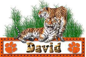 David Name Graphics And Gifs David Animation Graphic