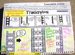 2 nd fill in the correct mrna bases by transcribing the bottom dna code. Rna Protein Synthesis Interactive Notebook Mrs Gs Classroom