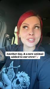 Another day, & a new animal added to our crew! 🐓 #tattedmama #tattedmama44  #dayinmylifevlog #farmlife #animals