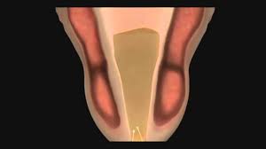 Welcome to today's women medical centers. Price Of An Abortion Alternatives To Abortion