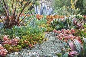 We did not find results for: Types Of Succulents For Pots Landscapes Photos Ids