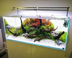 Different Point Of View Of The Aquaflora Nl 120cm Showtank Of 120x60x50 Cm For Dibevo Tradeshow In The Aquarium Landscape Aquascape Aquarium Planted Aquarium