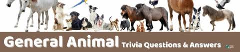 Find out how much you know about animals that live in and around the ocean! 99 Animal Trivia Questions And Answers Group Games 101