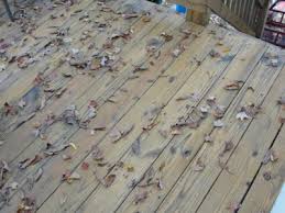 A new waterproofing stain from industry leader thompson's waterseal can not only protect your deck from further damage, but also add rich, beautiful color. Thompson S Waterseal Cleaner Waterproofer Review Living Well Mom