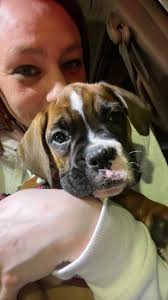 My girl Lilly helps when I'm having anxiety attacks!! Love her to pieces! 💞