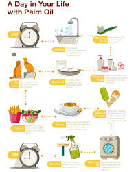 The production is projected to reach 19.4 million tonnes in 2012. Palm Oil With Malaysia Cracking Down On Production What S The Alternative World Economic Forum