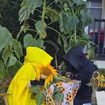 2026 Death Café Series - Pittsford Community Library