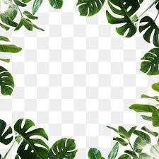Tropical Leaf Monstera Green Png And Psd Bunga Tropis Poster Bunga Seni Dinding Buatan Sendiri
