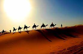 Earn commission from each customer you refer. Camel Caravan Crosses The Sahara Desert In Morocco Album On Imgur
