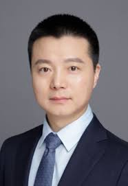 Prospects and Challenges of THz Precoding