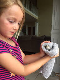 By chance came across the Elfin oak today loads of children playing near by  I like to think Spike would've love that