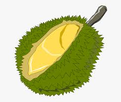 Check spelling or type a new query. Isi Buah Durian Diikat Clip Art Hitam Putih