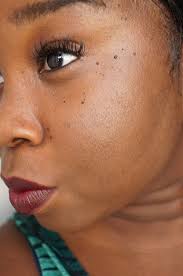 Caryl Baker Visage Holiday 2016 True North Lipstick- Notre Dame