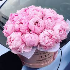 White Peonies Artificial Flowers Peonies Luxury Flowers Beautiful Flower Arrangements Beautiful Flowers