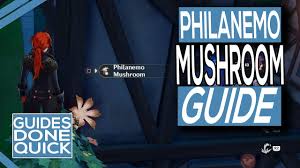 Where To Find Philanemo Mushroom In Genshin Impact - YouTube