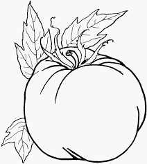 Saran kamu untuk belajar mewarnai gambar sayuran, kami kanalmu menyarankan ke bunda untuk mencari gambar sketsa sayuran yang berwarna hitam putih, karena dengan warna dasar tersebut ibu dan buah hati bisa mengekplor lebih jauh dalam pengenalan warna sayur ke buah hati. Mewarnai Gambar Sayur Sayuran Gambar Mewarnai Hd