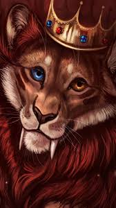 animal beast animal wallpaper iphone animal beast animal wallpaper iphone