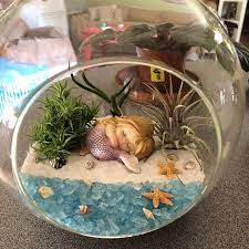 Large Round Terrarium 7 Hanging Glass Orb Diy Etsy Terrariums Kits Air Plant Terrarium Air Plants