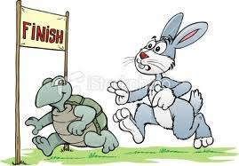 Tortoise gambar kura kura kartun hitam putih clipart 1217185. Lukisan Arnab Dan Kura Kura Cikimm Com