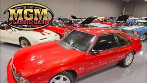 Image result for Wild Strawberry 1992 Tempo