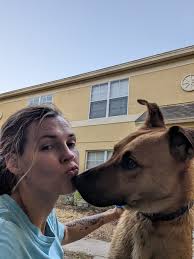 10.11.24 We lost our beloved dog, Tiger. He accidentally got out of the  house. We have searched for him tirelessly yesterday but we had no luck. My  friends here in Tampa specifically