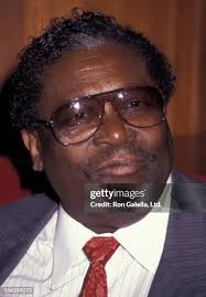 49 Benson Hedges Blues Festival Photos & High Res Pictures