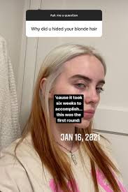 'i'm not letting myself be owned' Billie Eilish Says She S Been Hiding Her Blonde Hair Since January People Com
