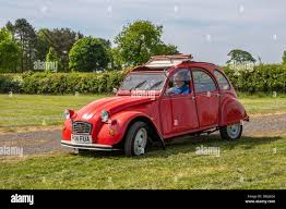 Image result for Rouge Vallelunga 1982 Fleet