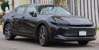 Image result for Black 2023 Crown