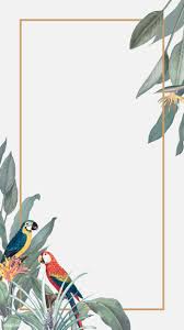 Download Premium Illustration Of Tropical Paradise Banner Frame Tropical Illustration Tropical Paradise Tropical Frames