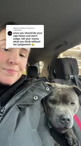 We Listen An We Dont Judge Enzo The Pitbull