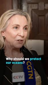 Why should we protect our oceans?