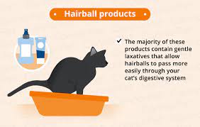 Cat Nausea Natural Treatments Canna Pet