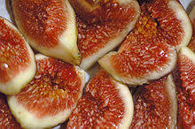 If your tree doesn't get enough light, the leaves may yellow or drop. Common Fig Wikipedia