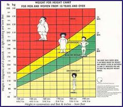 Bmi Chart For Children Www Bedowntowndaytona Com