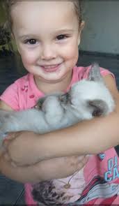 Profile for Vivian De Souza Castellan