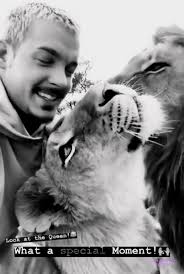 He's a beauty with kind eyes!👑 Credit: unknown