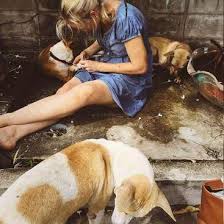 Check spelling or type a new query. Help With A Dog Rescue Project In Songkhla Thailand