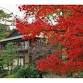 Draped in Brocade: Tokugawaen Autumn Leaves Festival event image