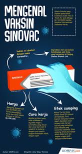 Menilik Perbandingan Vaksin Corona Pfizer Dengan Sinovac Apa Saja Halaman All Kompas Com