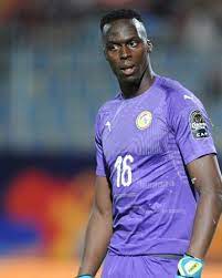 Discover everything you want to know about edouard mendy: Edouard Mendy Fifa Football Gaming Wiki Fandom