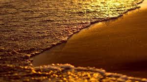 Bagaimana untuk mendapatkan kuasa kereta kembali. Ketentuan Umum Terbaru Penumpang Kereta Api Endangered Indonesia