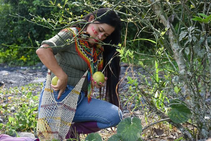 Cómo los shuar responden al cambio climático en Ecuador